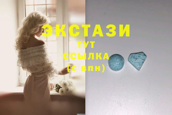 ECSTASY Бородино