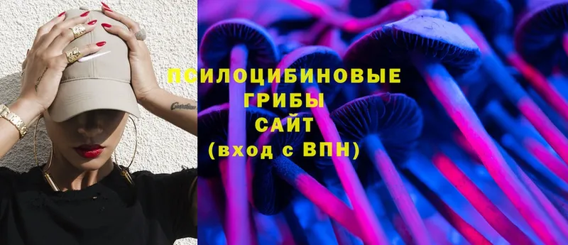 omg сайт  Барабинск  Галлюциногенные грибы Psilocybe  как найти наркотики 